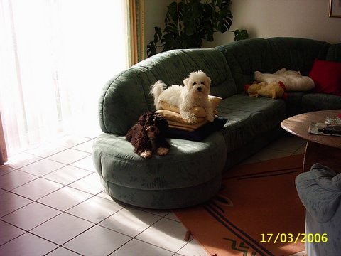 Biene und Fabienn auf dem Sofa